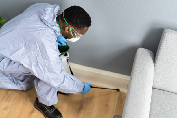 Best Pest Exclusion Services  in Eunice, LA